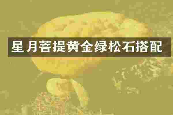 星月菩提黄金绿松石搭配