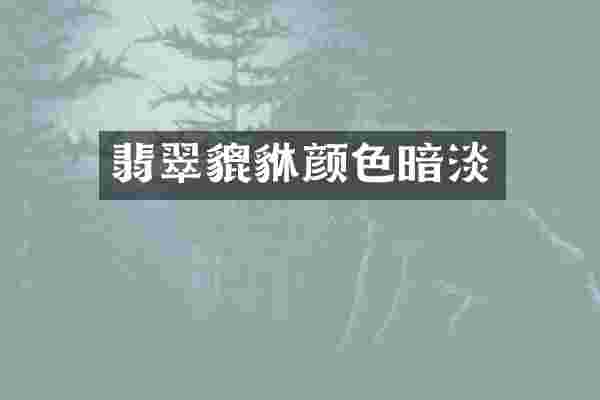 翡翠貔貅颜色暗淡