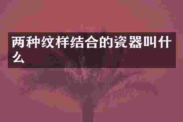 两种纹样结合的瓷器叫什么