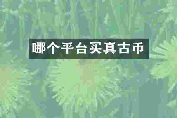 哪个平台买真古币
