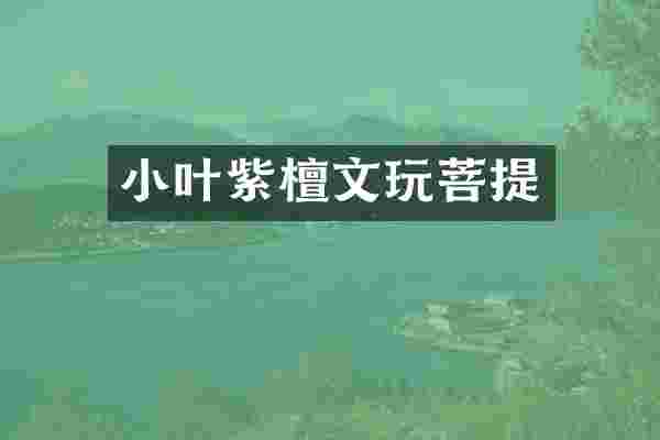 小叶紫檀文玩菩提