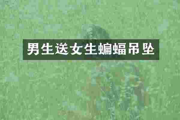 男生送女生蝙蝠吊坠