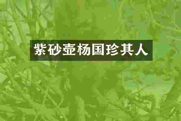 紫砂壶杨国珍其人