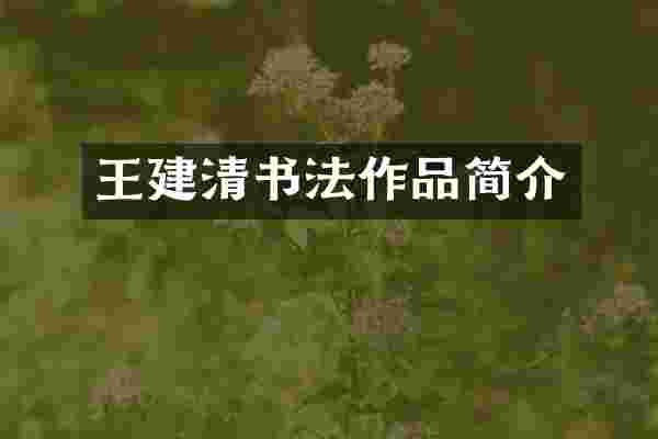 王建清书法作品简介