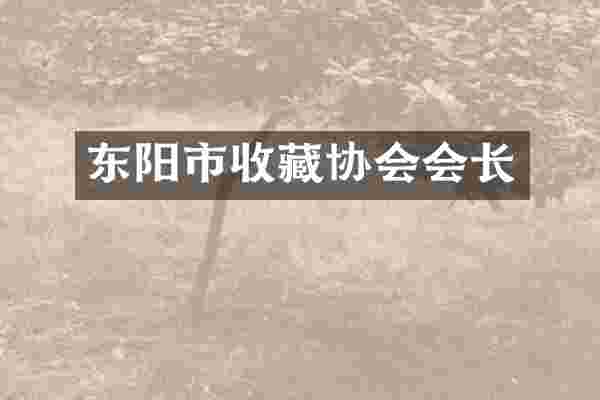 东阳市收藏协会会长
