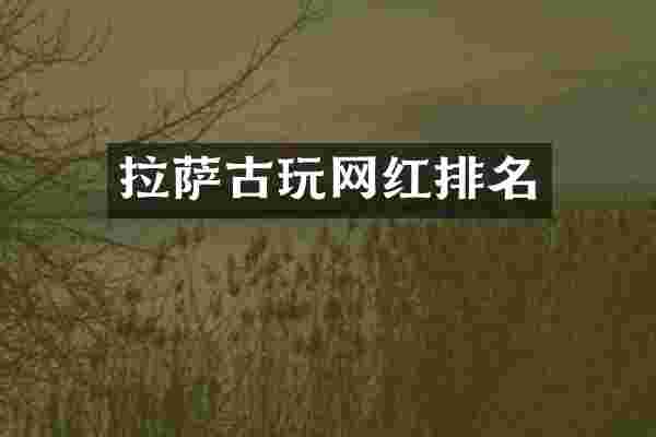 拉萨古玩网红排名