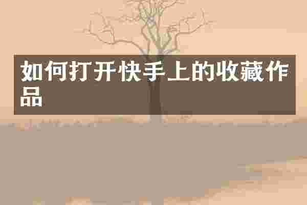 如何打开快手上的收藏作品