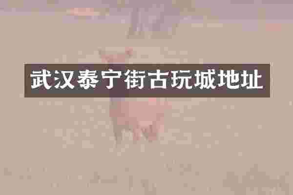 武汉泰宁街古玩城地址