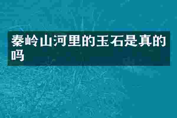 秦岭山河里的玉石是真的吗