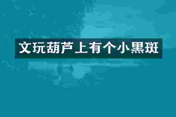 文玩葫芦上有个小黑斑