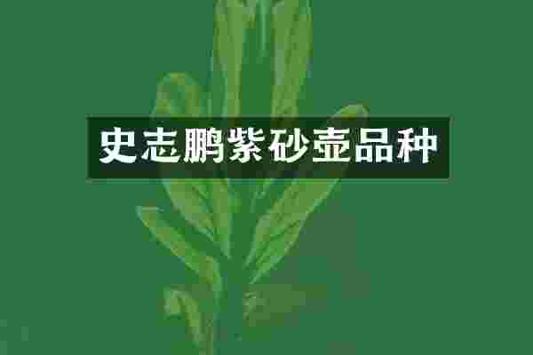 史志鹏紫砂壶品种