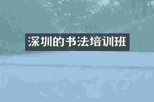 深圳的书法培训班