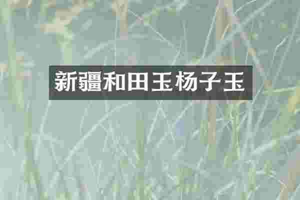 新疆和田玉杨子玉