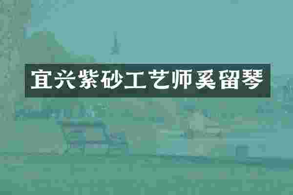 宜兴紫砂工艺师奚留琴