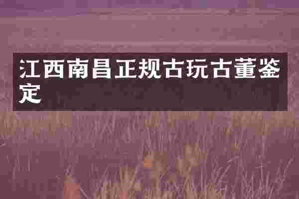 江西南昌正规古玩古董鉴定