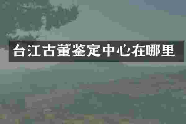台江古董鉴定中心在哪里