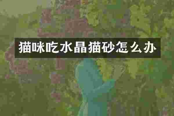 猫咪吃水晶猫砂怎么办