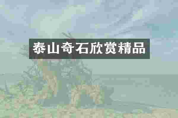 泰山奇石欣赏精品