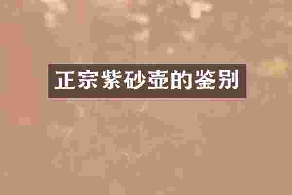 正宗紫砂壶的鉴别