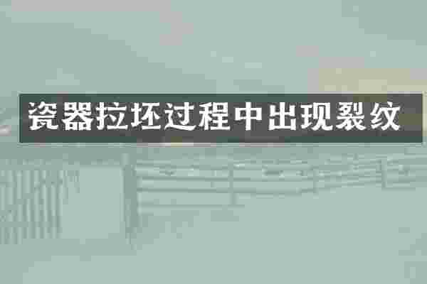 瓷器拉坯过程中出现裂纹