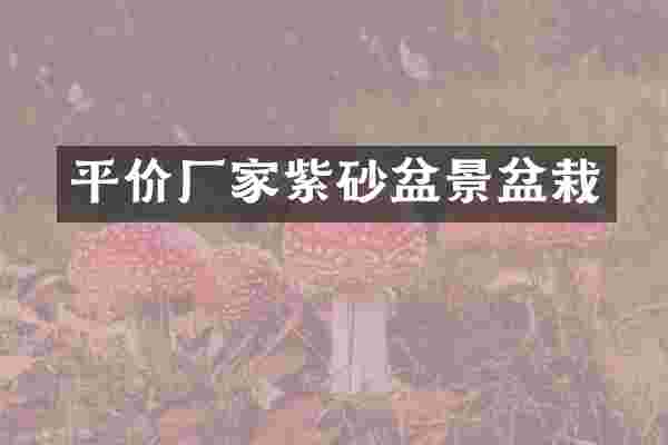 平价厂家紫砂盆景盆栽