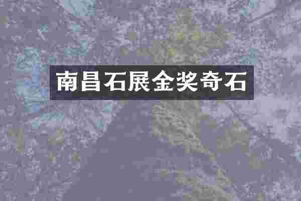 南昌石展金奖奇石