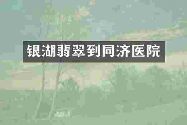 银湖翡翠到同济医院