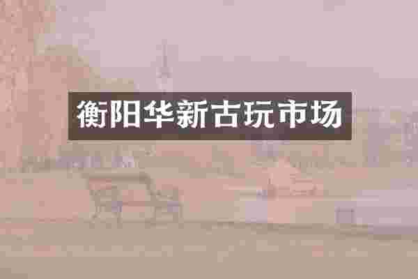 衡阳华新古玩市场