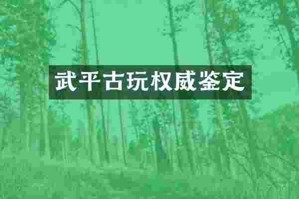 武平古玩权威鉴定