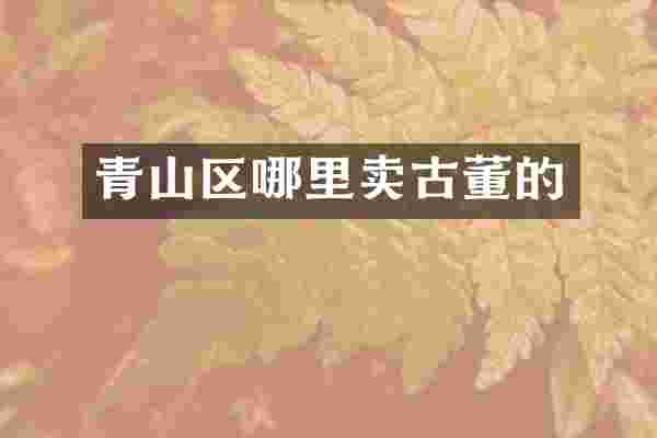 青山区哪里卖古董的