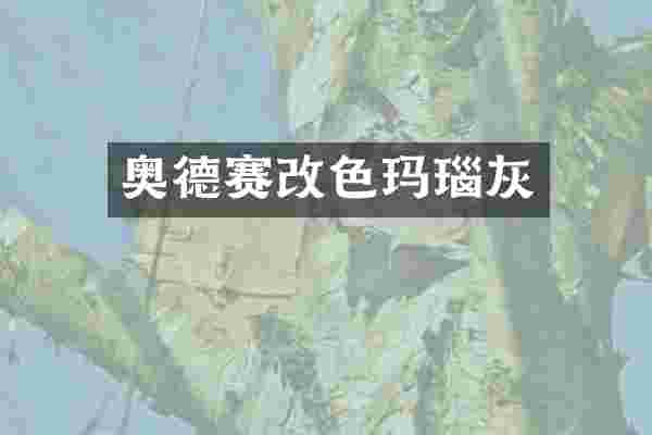 奥德赛改色玛瑙灰