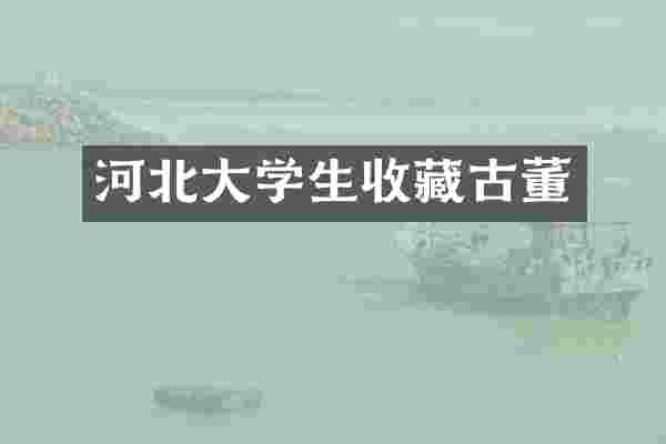 河北大学生收藏古董
