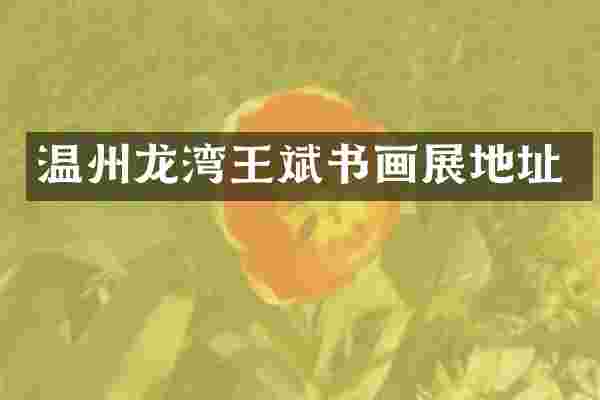温州龙湾王斌书画展地址