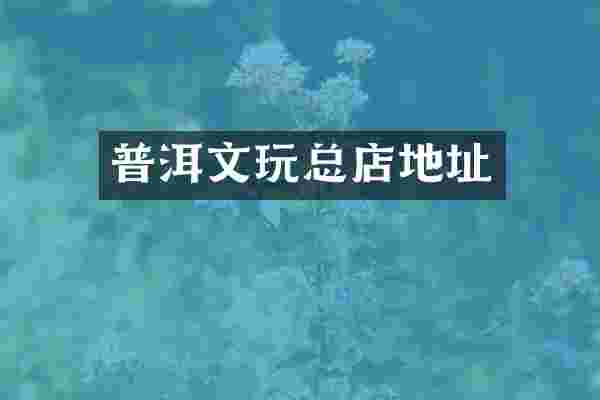 普洱文玩总店地址