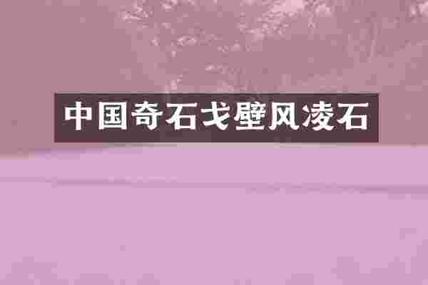 中国奇石戈壁风凌石