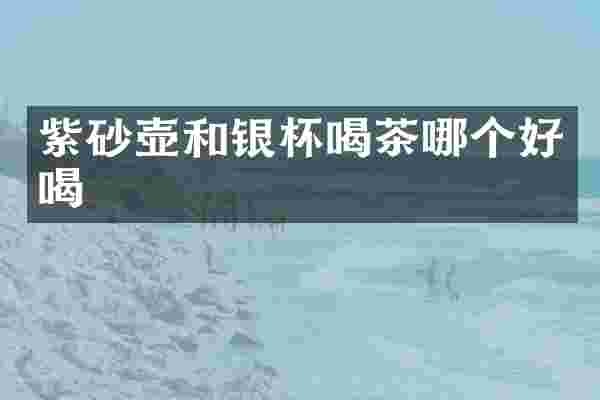 紫砂壶和银杯喝茶哪个好喝
