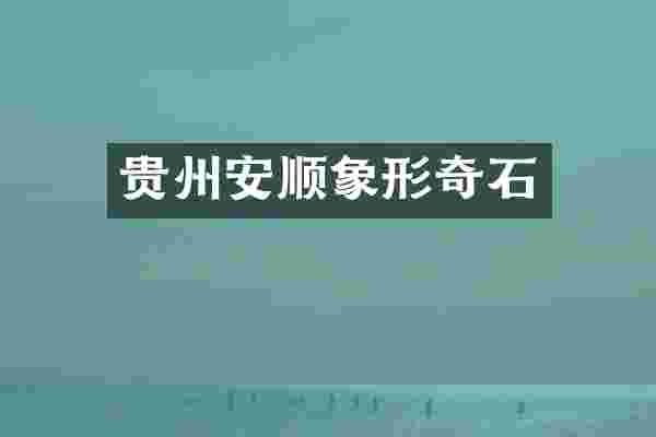 贵州安顺象形奇石