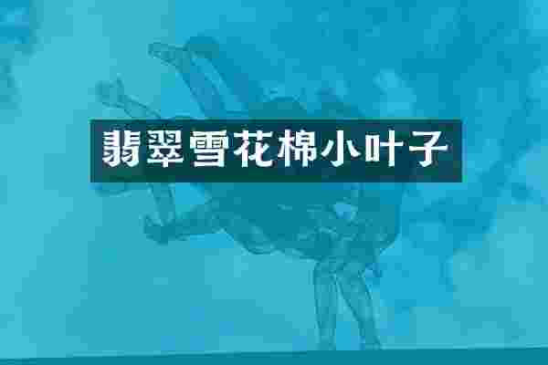 翡翠雪花棉小叶子