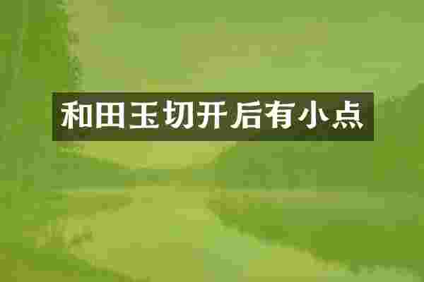 和田玉切开后有小点