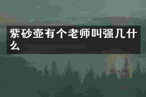 紫砂壶有个老师叫强几什么