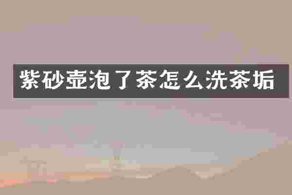 紫砂壶泡了茶怎么洗茶垢