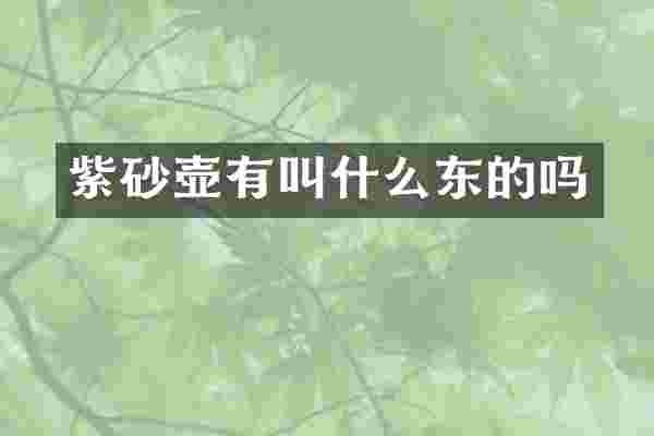 紫砂壶有叫什么东的吗