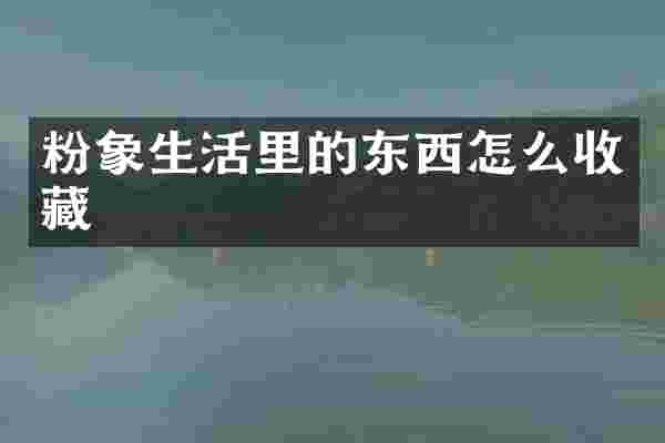 粉象生活里的东西怎么收藏