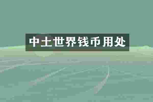 中土世界钱币用处