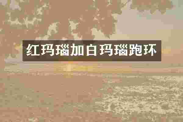 红玛瑙加白玛瑙跑环