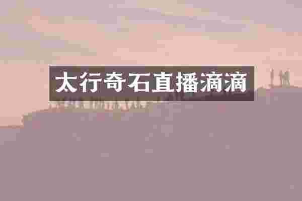 太行奇石直播滴滴