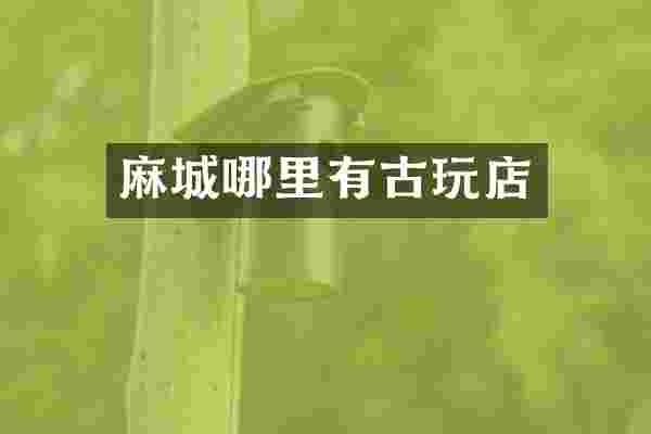 麻城哪里有古玩店