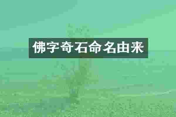 佛字奇石命名由来