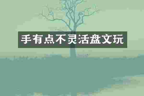 手有点不灵活盘文玩
