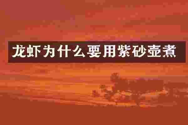 龙虾为什么要用紫砂壶煮